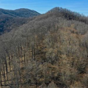 Photo of SOLD!!  81 Acres of Hunting and Recreational Land For Sale in Franklin County VA!