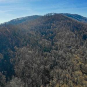 Photo of SOLD!!  81 Acres of Hunting and Recreational Land For Sale in Franklin County VA!