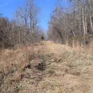 Photo of SOLD!!  81 Acres of Hunting and Recreational Land For Sale in Franklin County VA!