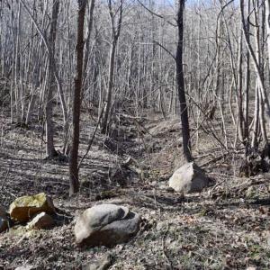 Photo of SOLD!!  81 Acres of Hunting and Recreational Land For Sale in Franklin County VA!