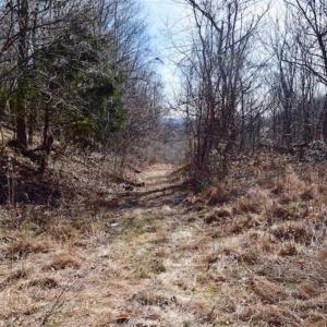 Photo of SOLD!!  81 Acres of Hunting and Recreational Land For Sale in Franklin County VA!