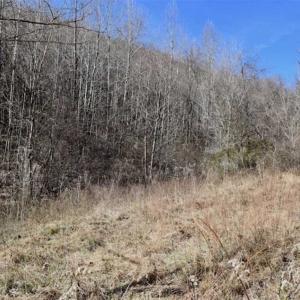Photo of SOLD!!  81 Acres of Hunting and Recreational Land For Sale in Franklin County VA!