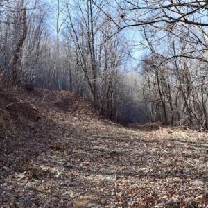 Photo of SOLD!!  81 Acres of Hunting and Recreational Land For Sale in Franklin County VA!