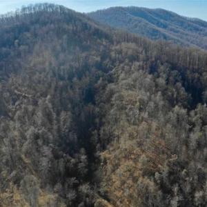 Photo of SOLD!!  81 Acres of Hunting and Recreational Land For Sale in Franklin County VA!