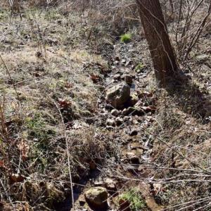 Photo of SOLD!!  81 Acres of Hunting and Recreational Land For Sale in Franklin County VA!