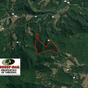 Photo of SOLD!!  81 Acres of Hunting and Recreational Land For Sale in Franklin County VA!