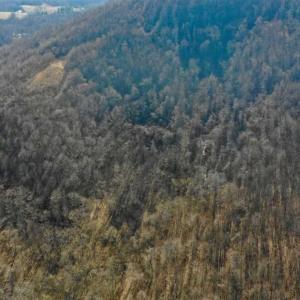 Photo of SOLD!!  81 Acres of Hunting and Recreational Land For Sale in Franklin County VA!