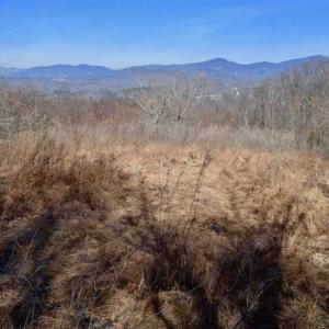 Photo of SOLD!!  81 Acres of Hunting and Recreational Land For Sale in Franklin County VA!