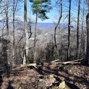 Photo of SOLD!!  81 Acres of Hunting and Recreational Land For Sale in Franklin County VA!