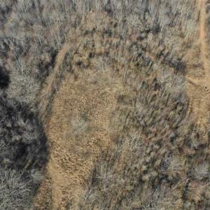Photo of SOLD!!  81 Acres of Hunting and Recreational Land For Sale in Franklin County VA!