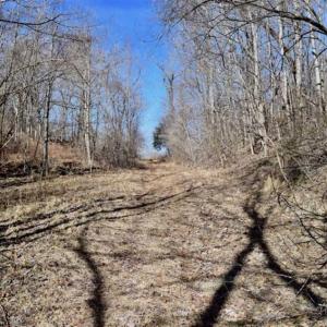 Photo of SOLD!!  81 Acres of Hunting and Recreational Land For Sale in Franklin County VA!