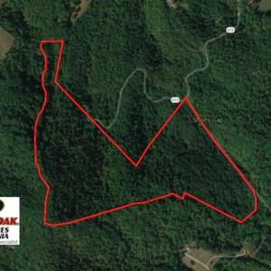Photo of SOLD!!  81 Acres of Hunting and Recreational Land For Sale in Franklin County VA!