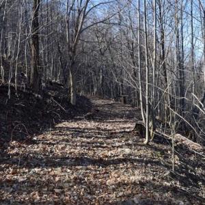 Photo of SOLD!!  81 Acres of Hunting and Recreational Land For Sale in Franklin County VA!