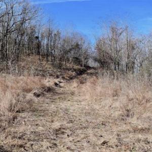 Photo of SOLD!!  81 Acres of Hunting and Recreational Land For Sale in Franklin County VA!