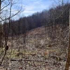 Photo of SOLD!!  81 Acres of Hunting and Recreational Land For Sale in Franklin County VA!