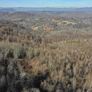 Photo of SOLD!!  81 Acres of Hunting and Recreational Land For Sale in Franklin County VA!