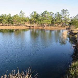 Photo of SOLD!!  8.32 Acres of Commercial and Development Land with Home in Columbus NC!