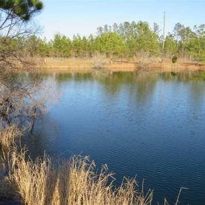 Photo of SOLD!!  8.32 Acres of Commercial and Development Land with Home in Columbus NC!