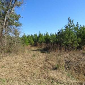 Photo of SOLD!!  13.79 Acres of Development and Hunting Land for Sale in Columbus County NC!