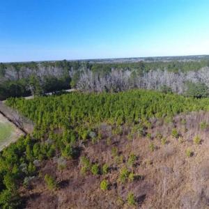 Photo of SOLD!!  13.79 Acres of Development and Hunting Land for Sale in Columbus County NC!