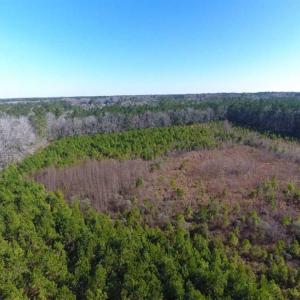 Photo of SOLD!!  13.79 Acres of Development and Hunting Land for Sale in Columbus County NC!