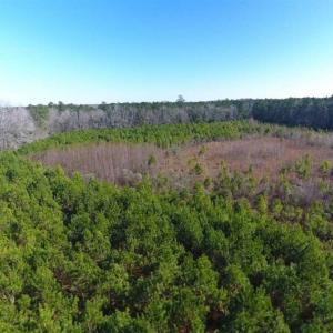 Photo of SOLD!!  13.79 Acres of Development and Hunting Land for Sale in Columbus County NC!
