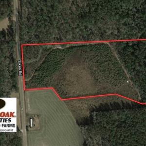 Photo of SOLD!!  13.79 Acres of Development and Hunting Land for Sale in Columbus County NC!