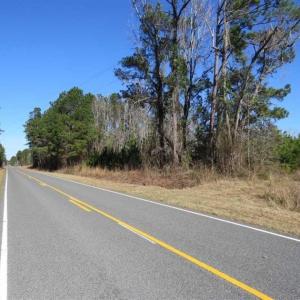 Photo of SOLD!!  13.79 Acres of Development and Hunting Land for Sale in Columbus County NC!