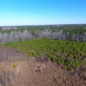 Photo of SOLD!!  13.79 Acres of Development and Hunting Land for Sale in Columbus County NC!