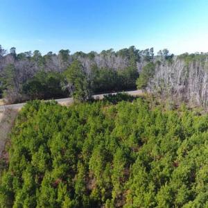Photo of SOLD!!  13.79 Acres of Development and Hunting Land for Sale in Columbus County NC!