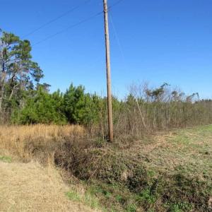Photo of SOLD!!  13.79 Acres of Development and Hunting Land for Sale in Columbus County NC!