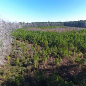 Photo of SOLD!!  13.79 Acres of Development and Hunting Land for Sale in Columbus County NC!