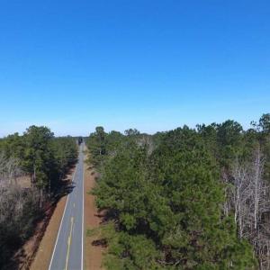 Photo of SOLD!!  13.79 Acres of Development and Hunting Land for Sale in Columbus County NC!