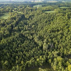 Photo of SOLD!!  28.10 Acres of Farm and Hunting Land For Sale in Person County NC!