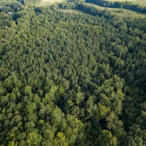 Photo of SOLD!!  28.10 Acres of Farm and Hunting Land For Sale in Person County NC!