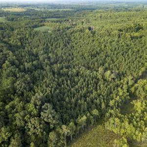 Photo of SOLD!!  28.10 Acres of Farm and Hunting Land For Sale in Person County NC!