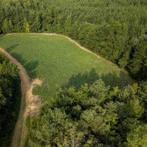 Photo of SOLD!!  79.32 Acres of Farm and Hunting Land For Sale in Person County NC!