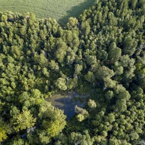 Photo of SOLD!!  79.32 Acres of Farm and Hunting Land For Sale in Person County NC!