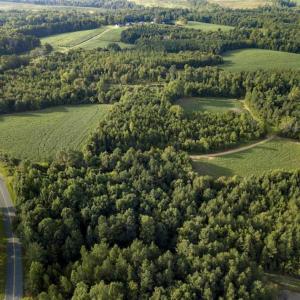 Photo of SOLD!!  79.32 Acres of Farm and Hunting Land For Sale in Person County NC!