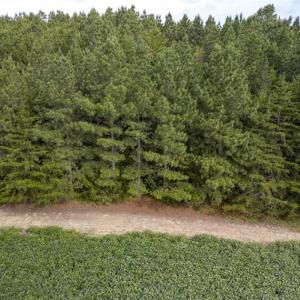 Photo of SOLD!!  79.32 Acres of Farm and Hunting Land For Sale in Person County NC!