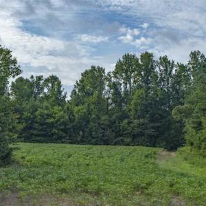 Photo of SOLD!!  79.32 Acres of Farm and Hunting Land For Sale in Person County NC!