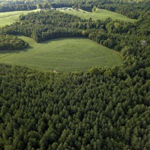 Photo of SOLD!!  79.32 Acres of Farm and Hunting Land For Sale in Person County NC!