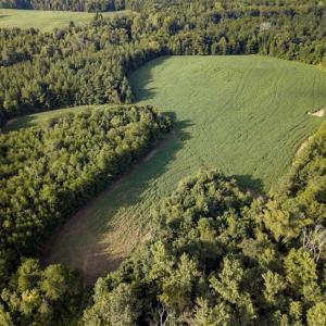Photo of SOLD!!  79.32 Acres of Farm and Hunting Land For Sale in Person County NC!