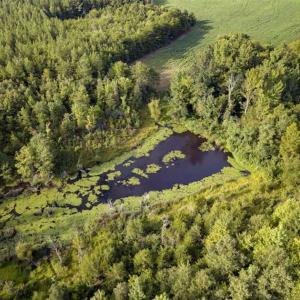 Photo of SOLD!!  79.32 Acres of Farm and Hunting Land For Sale in Person County NC!