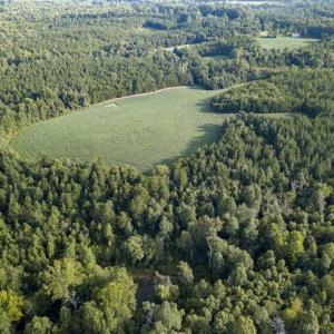 Photo of SOLD!!  79.32 Acres of Farm and Hunting Land For Sale in Person County NC!