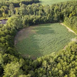 Photo of SOLD!!  79.32 Acres of Farm and Hunting Land For Sale in Person County NC!