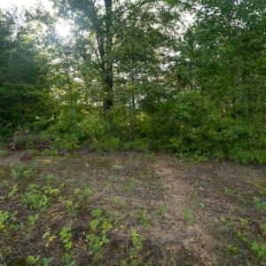 Photo of SOLD!!  79.32 Acres of Farm and Hunting Land For Sale in Person County NC!