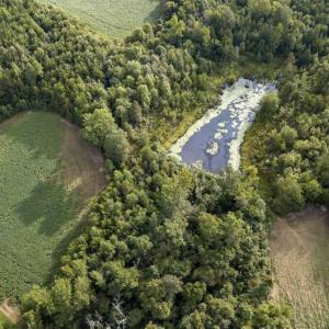 Photo of SOLD!!  79.32 Acres of Farm and Hunting Land For Sale in Person County NC!