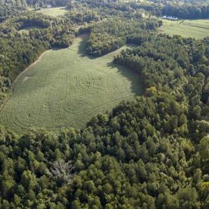 Photo of SOLD!!  79.32 Acres of Farm and Hunting Land For Sale in Person County NC!