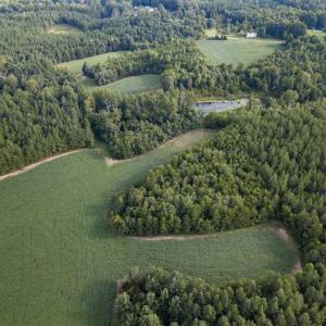 Photo of SOLD!!  79.32 Acres of Farm and Hunting Land For Sale in Person County NC!